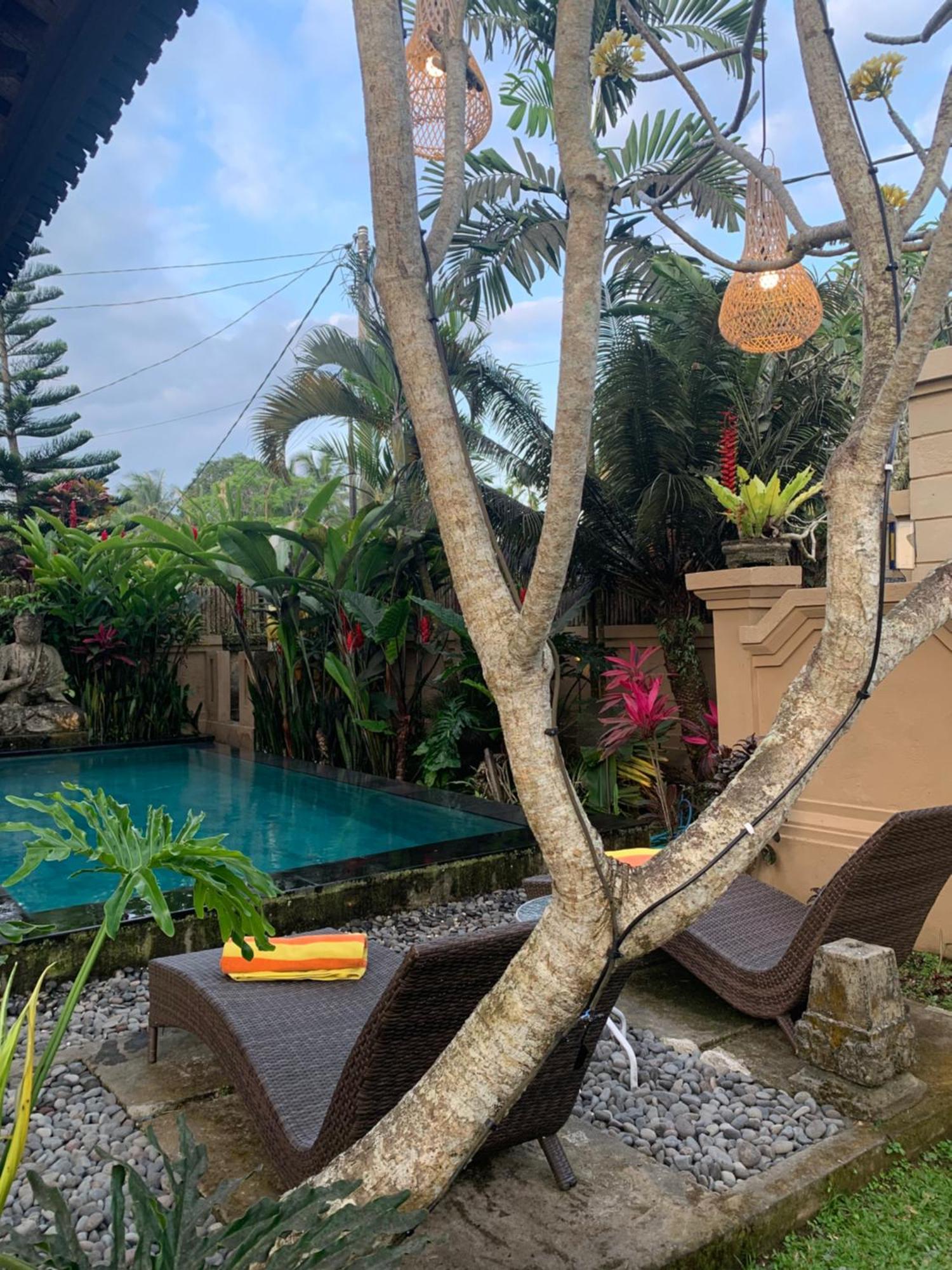 Villa Mangku In Ricefield Ubud  Luaran gambar